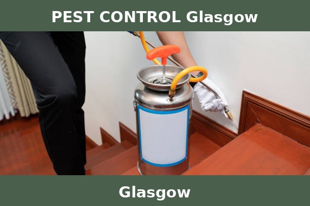 PEST CONTROL Glasgow